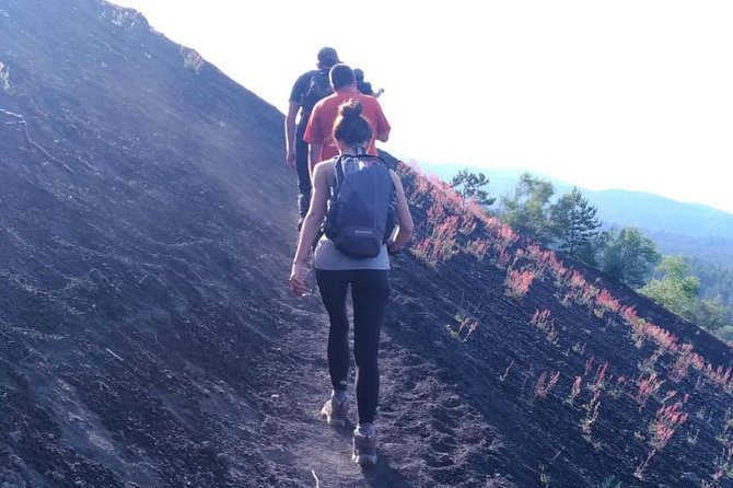 Mt. Etna: Official Ticketing for Ascent by Authorized 4x4 - Experience Highlights