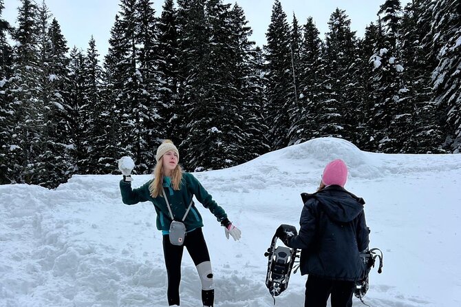 Mt Rainier Full Day (Luxury SUV CAPACITY for Six Passengers) - Review 3