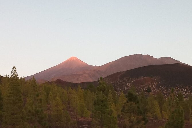 Mt Teide Volcano Night Guided Tour From Southern Tenerife - Questions and Assistance