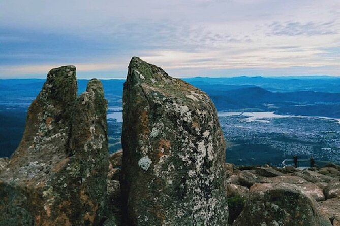 Mt Wellington Ultimate Experience Tour From Hobart - Check-In and Pickup Location Details