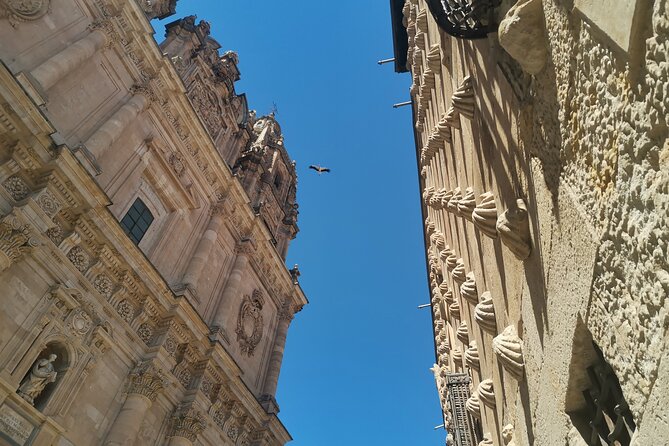 Must See Salamanca Walking Tour (Could Be Billingual) - Discovering Salamancas Architectural Gems