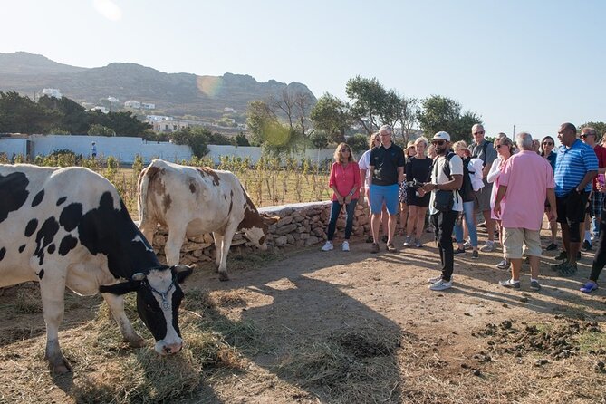 Mykonian Farm Entrance Ticket - Availability and Booking