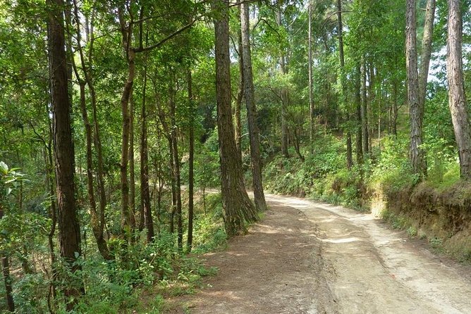 Nagarkot Sunrise View and Changunarayan Day Hike From Kathmandu - Common Questions