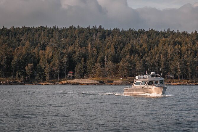 Nanaimo Whale Watching in a Semi-Covered Boat - Inclusions