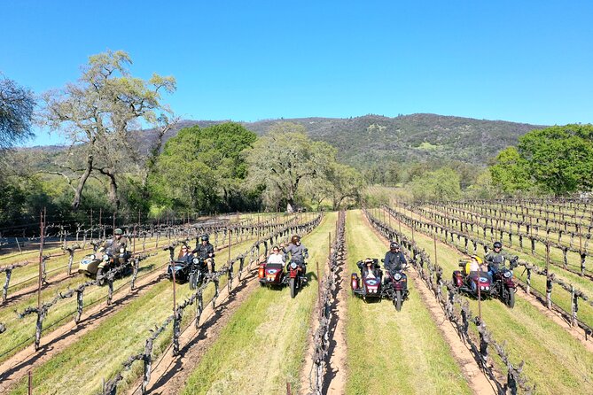 Napa Valley Classic Sidecar Wine Tours - Picnic Lunch on the Tour