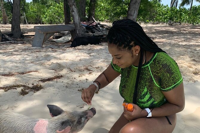 Nassau Small-Group Half-Day Snorkeling Sea Escape - Professionalism and Memorable Experiences (Specific Points)