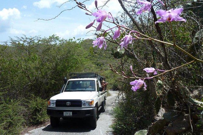 National Park Jeep Safari - Captivating Traveler Photos
