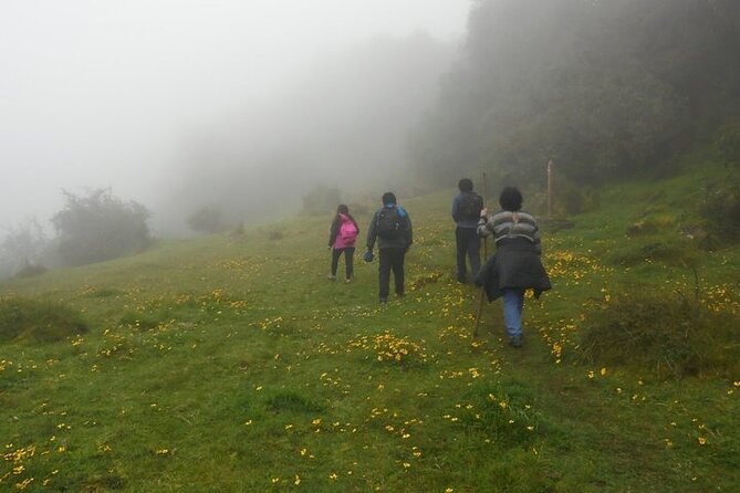 National Sanctuary of the Ampay - Wildlife and Biodiversity