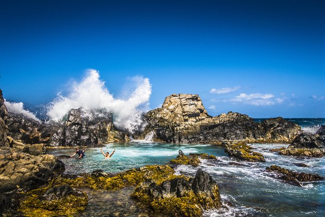 Natural Pool Off-Road Safari - The Sum Up