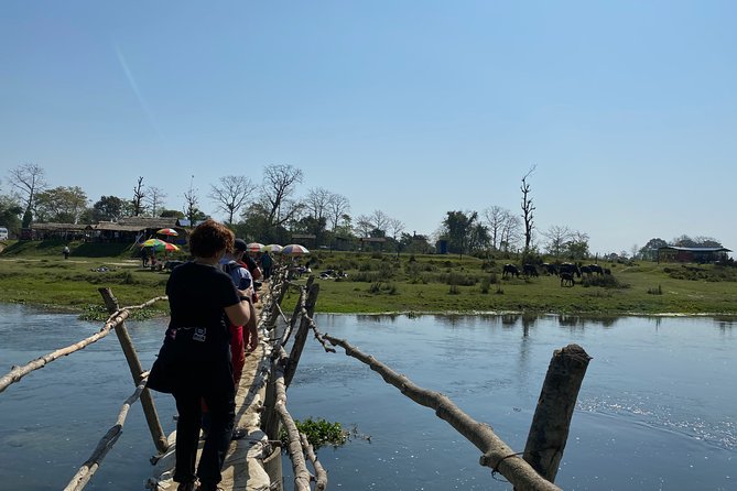 Nature Walk in Chitwan Jungle Safari With Guide - Best Time to Visit Chitwan National Park