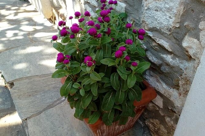 Naxos: Highlights of Naxos Day Tour - Common Questions