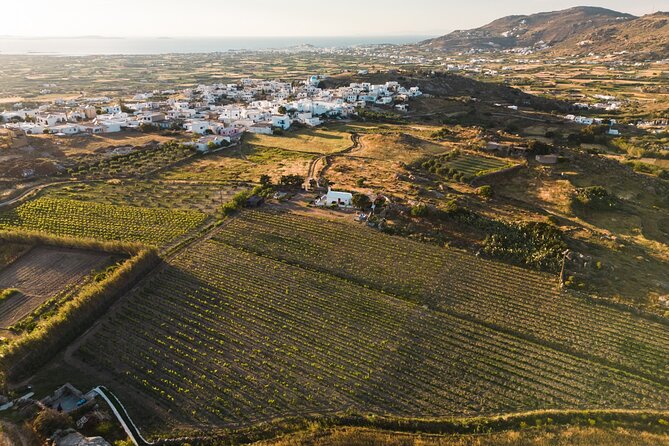 Naxos Private / Semi Private E-Bike Guided Tour Inland Methexis - Tour Guide Details