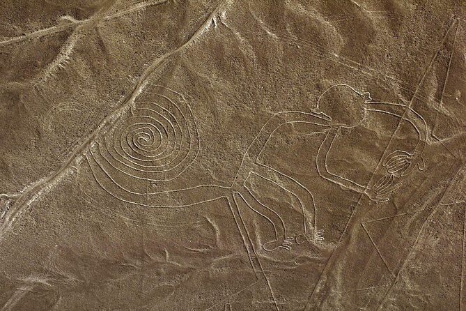 Nazca Lines & Ballestas Islands Private Tour From Lima - Important Information and Cancellation Policy