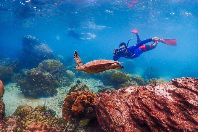 Nemo Island Experience With Drone Photos and Lunch - Best Time to Visit Nemo Island