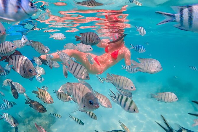 Nemo Island Full Day Tour by Speedboat With Snorkeling Experience - Speedboat Ride