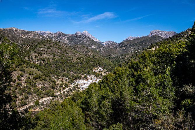 Nerja (Pueblo) Frigiliana & El Acebuchal - Semi-Private - Wojciech_Ps High Recommendation for Juan
