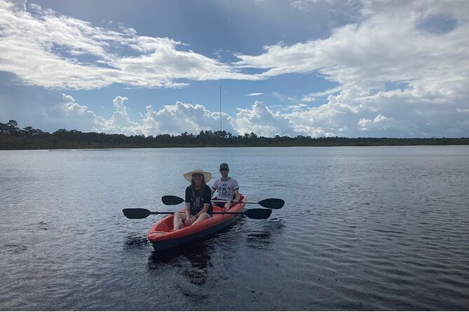 New Smyrna Dolphin and Manatee Adventure Tour - Customer Reviews and Positive Feedback