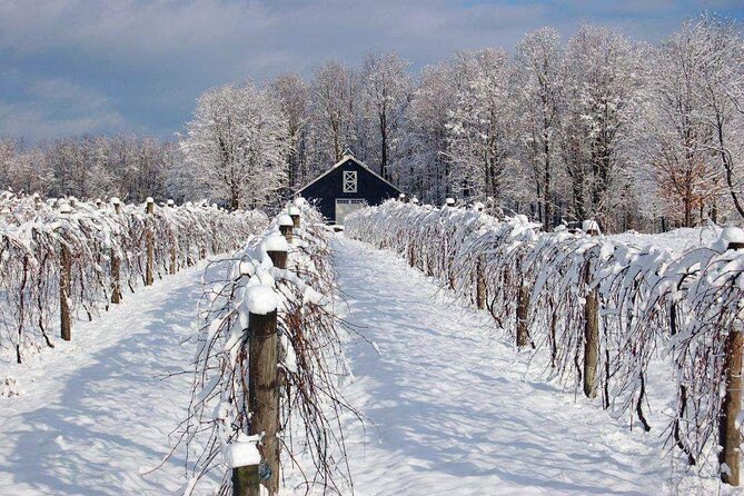 Niagara-on-the-Lake Wine Tasting Tour Including Transport  - Niagara Falls & Around - Reviews and Feedback