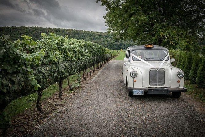 Niagara-On-The-Lake Wine Tour With Lunch -Private Tour in Classic English Cab - Reviews