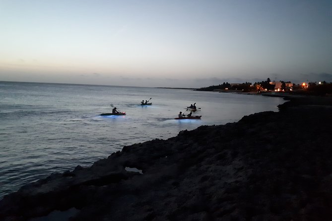 Night Glass Kayak Tour - Stargazing Adventure