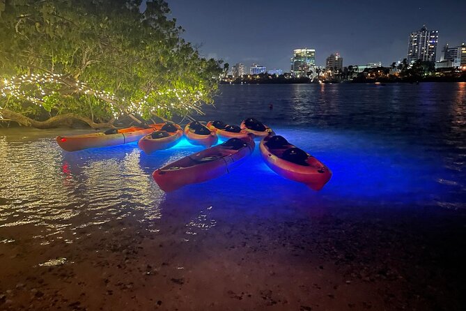 Night Kayak Guided Tour Through Condado Lagoon - Customer Feedback