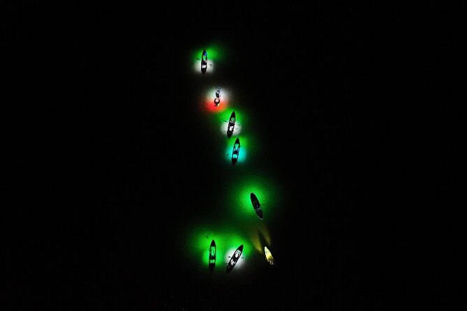Night Mangroves LED Tour on a Glass Bottom Kayak - Experience