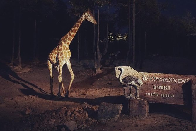Night Safari From Chiangmai - SPECIAL DEAL - Terms & Conditions