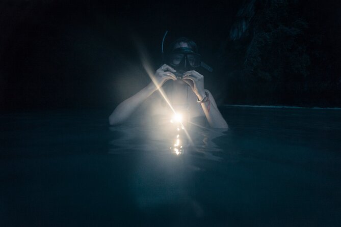 Night-Time Snorkel at Turtletown With Stars, Lights, and Photos - Maximum Number of Travelers on the Tour