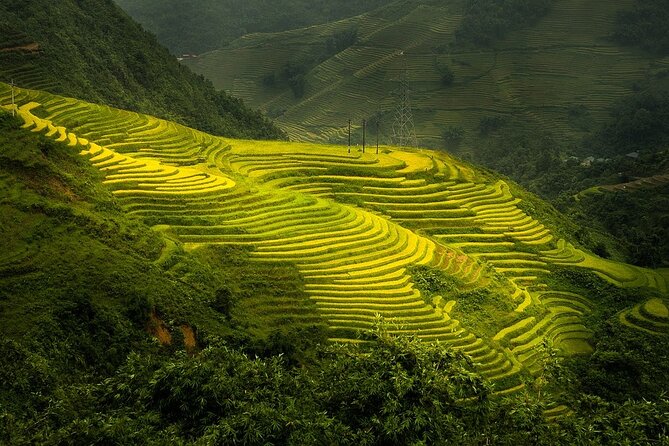 Noi Bai Airport Transfer by Luxury Limousine Bus to Sapa From Hanoi - Questions and Support: Get the Help You Need for a Smooth Experience