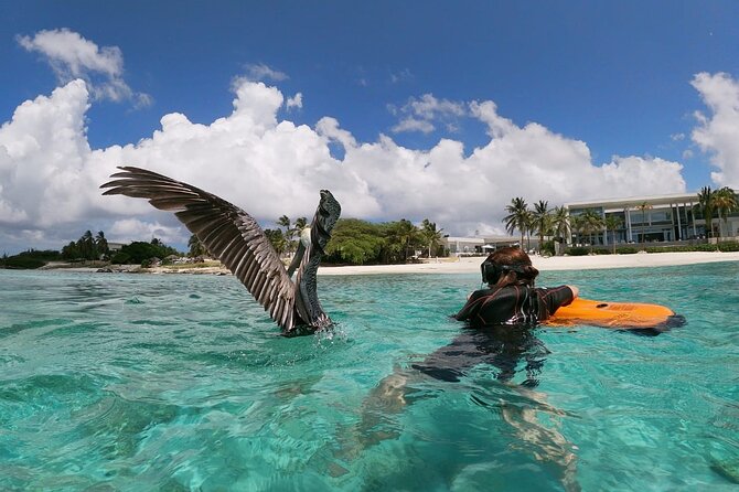 North Coast Seabob Reef Tour - Tour Inclusions