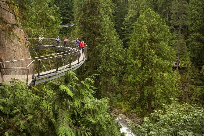 North Shore Day Trip From Vancouver: Capilano Suspension Bridge & Grouse Mtn - Scenic Attractions