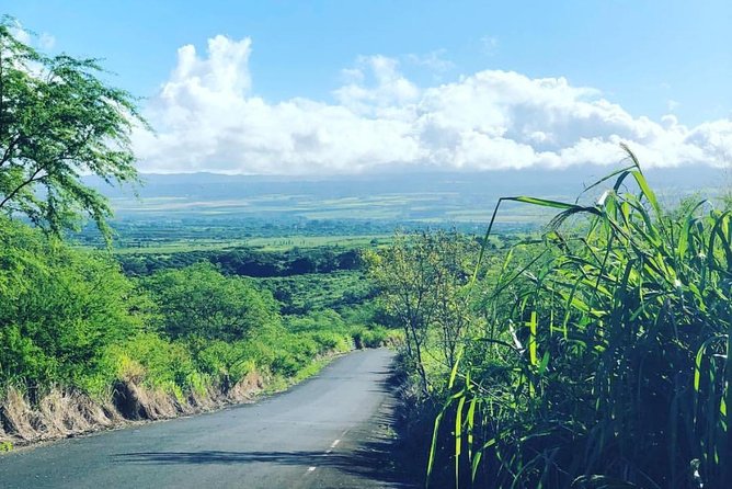 North Shore Tour Guide Hike - Overview