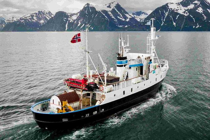 Northern Light 4 Hours Cruise With MS Strønstad - Additional Information