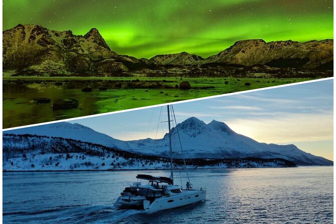 Northern Light Cruise With Luxury Catamaran in Tromso, Norway - Northern Lights Experience