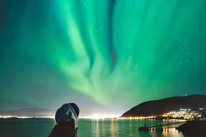 Northern Light Safari - Authentic Reviews and Ratings