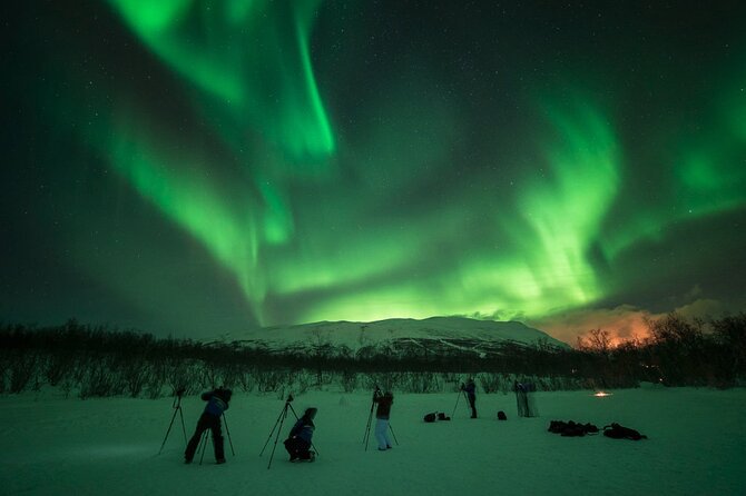 Northern Lights Photo Adventure in Abisko National Park  - Sweden - Expectations and Accessibility
