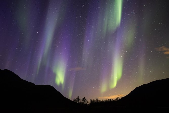 Northern Lights Safari From Tromso - Cancellation Policy
