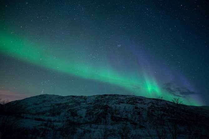 Northern Lights Tour From Kiruna to Abisko With Dinner - Lights of Viking Tour Customer Reviews