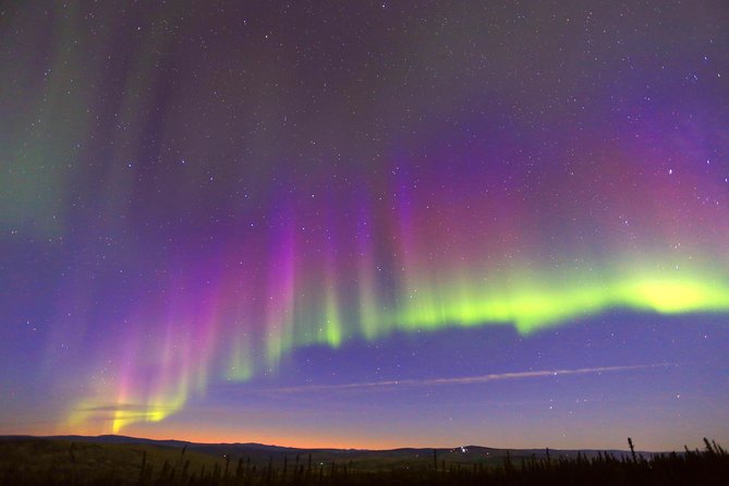 Northern Lights Viewing Including Dinner and 1-Hour Dog Sledding - Customer Reviews