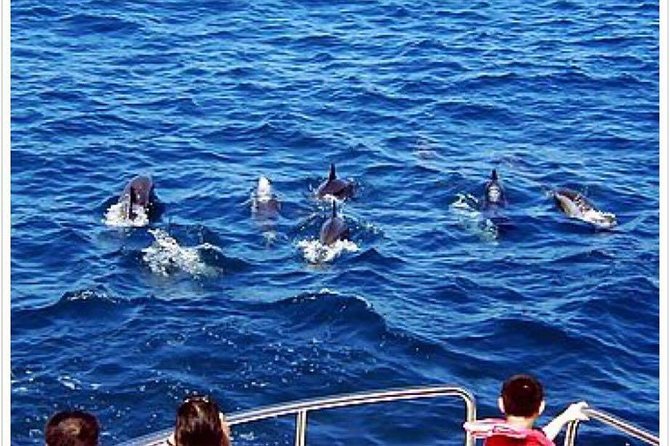 Northern Taiwan (Taipei, New Taipei City, Yilan County) 3-Day Tour - Transportation and Pick-up Points