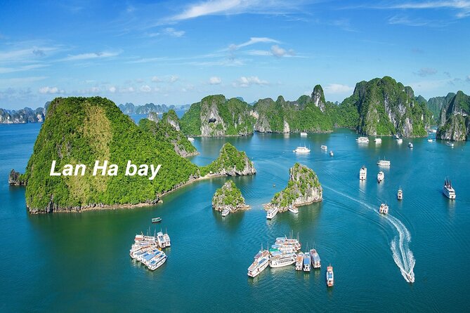 Northern Vietnam: HaGiang-CatBa-NinhBinh Package Tour in 6 Days - Day 4: Cat Ba Island to Ninh Binh (By Bus)
