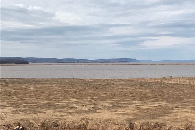 Nova Scotia Day Tour - Visit Peggys Cove, Lunenburg, and the Annapolis Valley. - Positive Reviews
