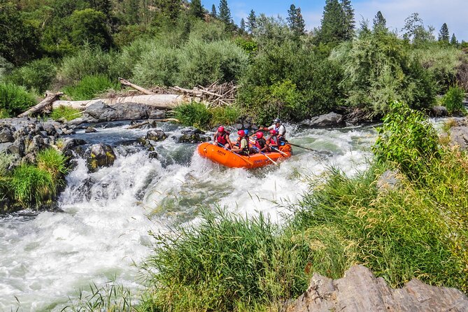Nugget Falls Class IV Half-Day Rafting on the Rogue RIVer - Cancellation Policy