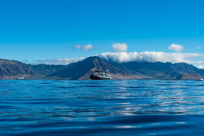Oahu: 3 Hour Dolphin Swim and Snorkeling Speedboat Tour - Cancellation Policy and Refund Details