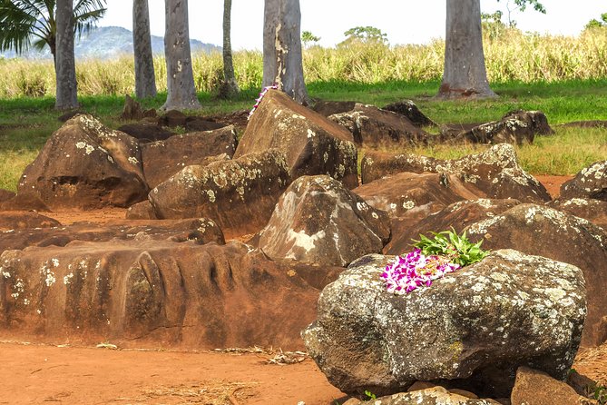Oahu Grand Circle Island Audio Driving Tour - Diverse Landscapes