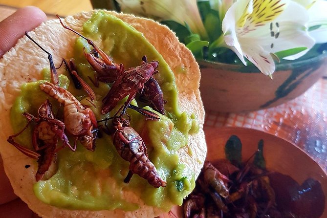 Oaxaca Private Full-Day Sightseeing Tour  - Oaxaca City - Traveler Testimonials