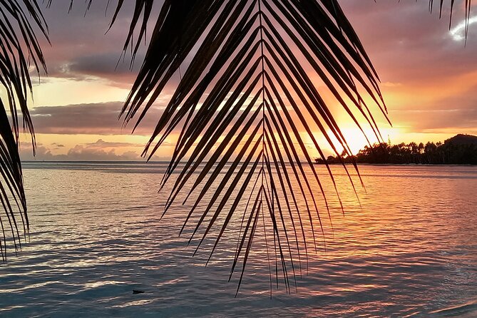 Observation of Marine Flora and Fauna in Bora Bora - Tips for a Successful Marine Observation Experience
