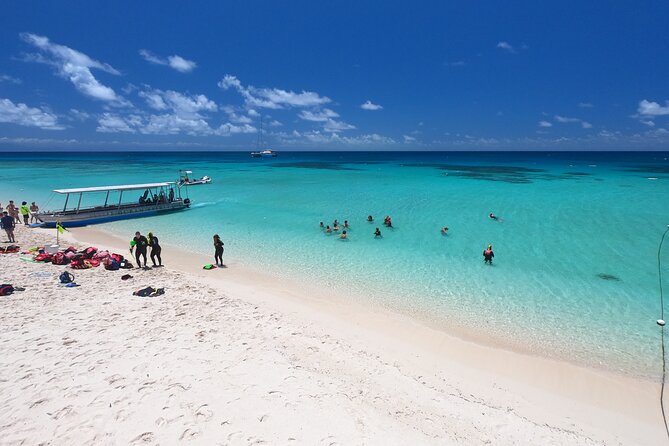 Ocean Spirit Sail to Michaelmas Cay Snorkel or Dive, From Cairns - Snorkeling Experience and Island Exploration