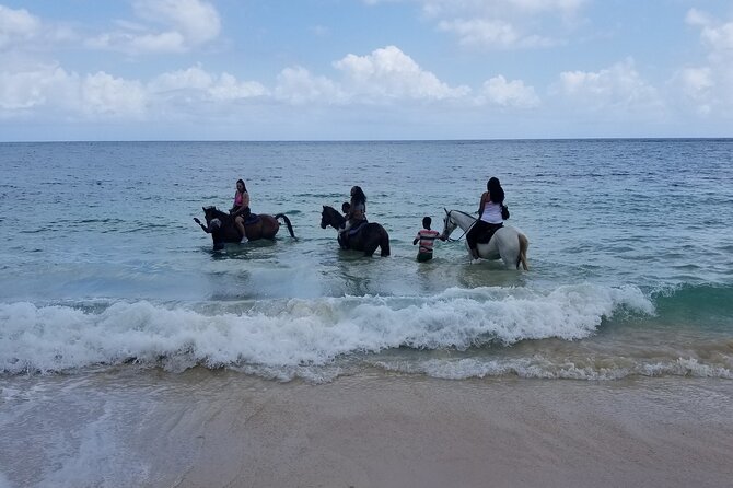 Ocho Rios Private Horse Riding, River Tubing and Rafting[Entry Fee Not Included] - The Sum Up