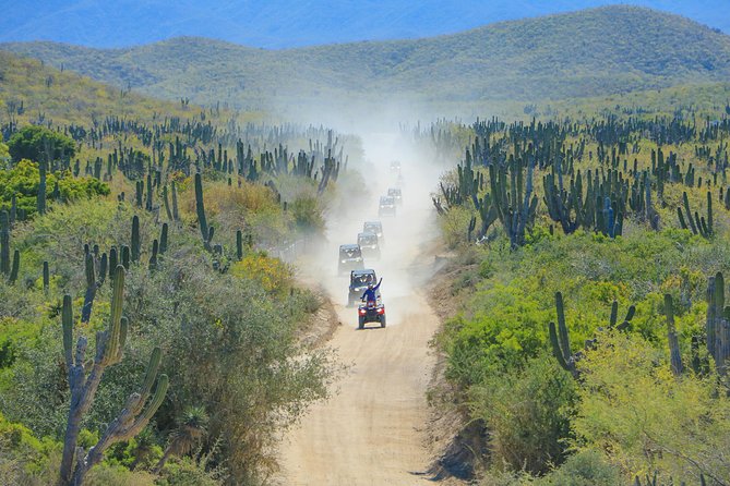 Offroad 4X4 UTV Adventure With Lunch & Tequila - Traveler Photos and Reviews